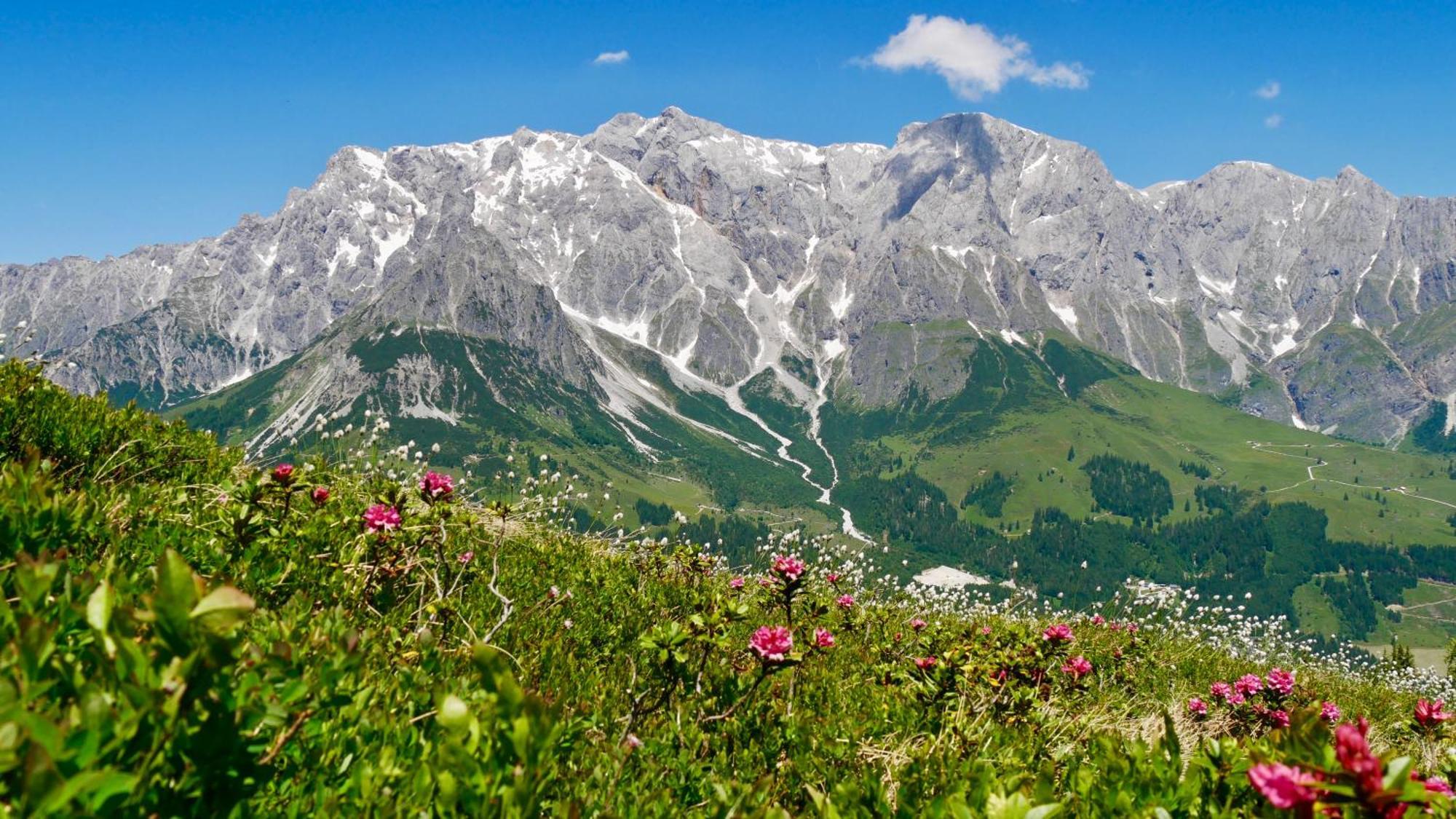 Landhaus Rieding Mühlbach am Hochkönig Buitenkant foto