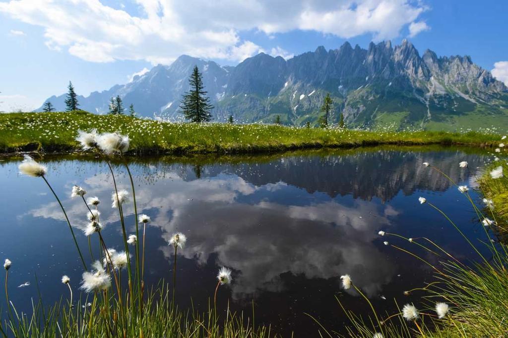 Landhaus Rieding Mühlbach am Hochkönig Buitenkant foto